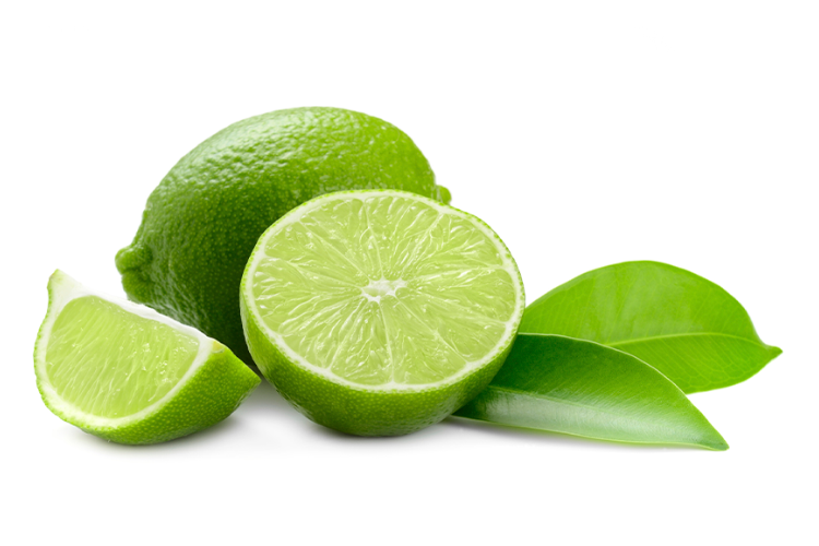 Doce Fruit Exportações