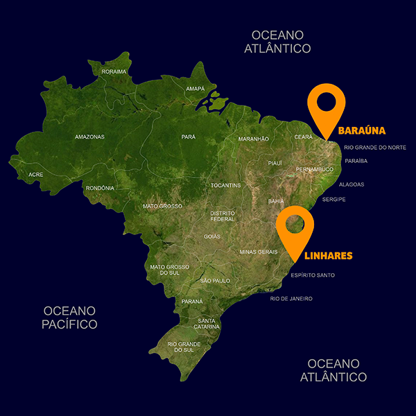 Doce Fruit Exportações
